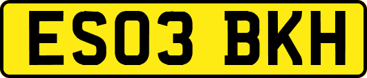 ES03BKH