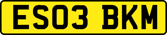 ES03BKM