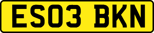 ES03BKN