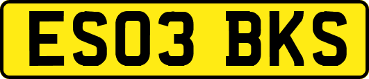ES03BKS
