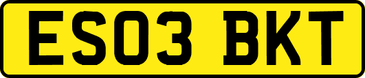 ES03BKT