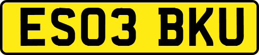 ES03BKU