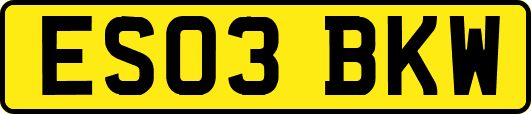 ES03BKW
