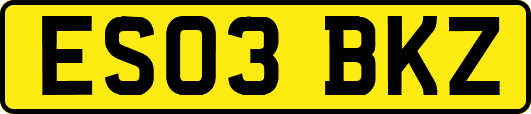 ES03BKZ