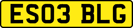 ES03BLG