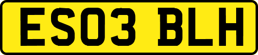 ES03BLH