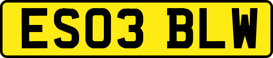 ES03BLW