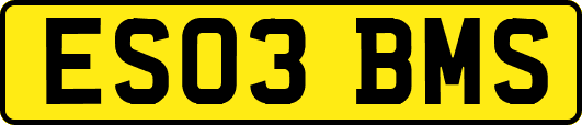 ES03BMS