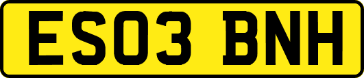 ES03BNH
