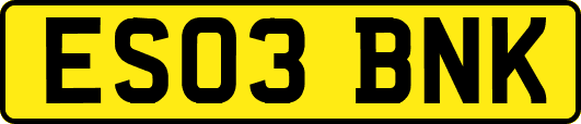 ES03BNK