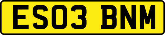 ES03BNM