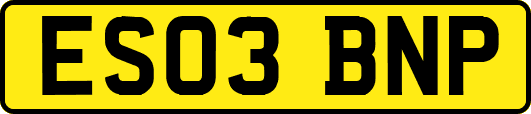 ES03BNP