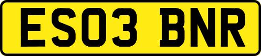 ES03BNR