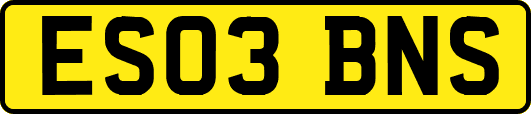 ES03BNS
