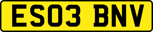 ES03BNV