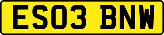 ES03BNW