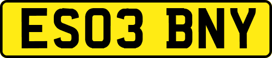 ES03BNY