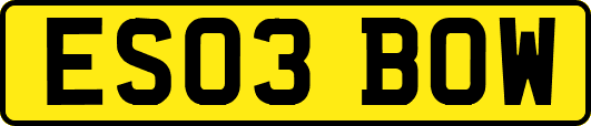ES03BOW