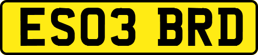 ES03BRD