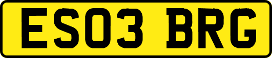 ES03BRG
