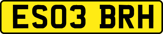ES03BRH