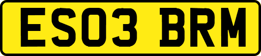 ES03BRM
