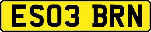 ES03BRN