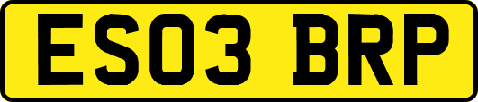 ES03BRP