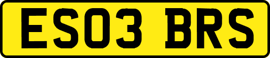ES03BRS