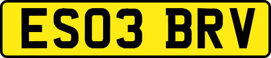 ES03BRV