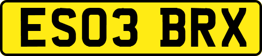 ES03BRX
