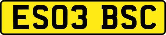 ES03BSC