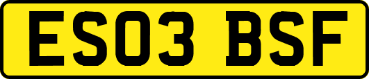 ES03BSF