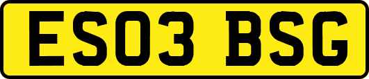 ES03BSG
