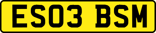 ES03BSM