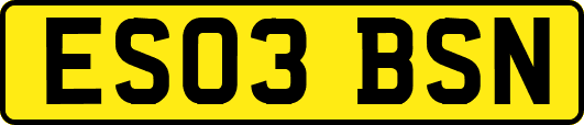 ES03BSN