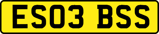 ES03BSS