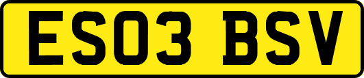 ES03BSV