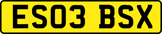 ES03BSX