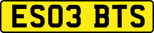 ES03BTS
