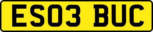 ES03BUC