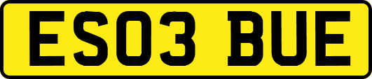 ES03BUE