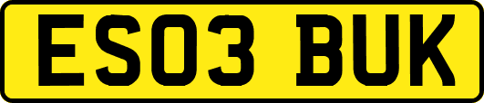 ES03BUK