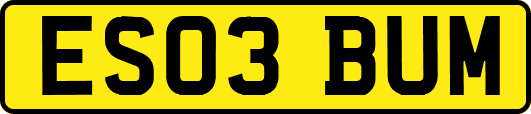 ES03BUM