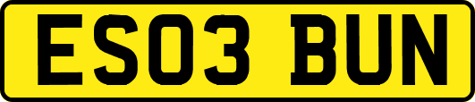 ES03BUN