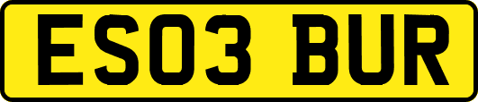 ES03BUR
