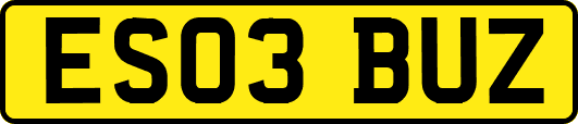 ES03BUZ