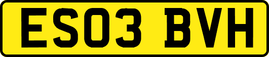 ES03BVH