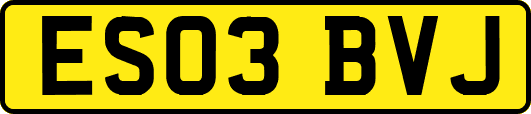 ES03BVJ