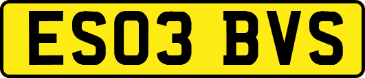 ES03BVS